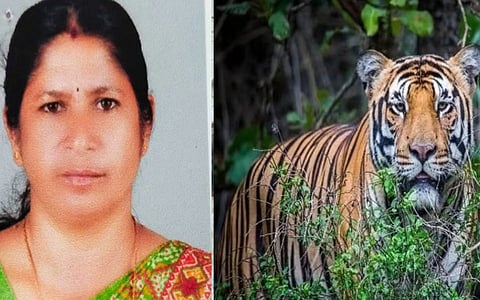 ചത്തതാണെങ്കിലും കൊന്നതാണെങ്കിലും സന്തോഷം, ഇനിയാർക്കും ഈ അവസ്ഥയുണ്ടാകരുതെന്നും രാധയുടെ കുടുംബം | Wayanad Tiger Attack