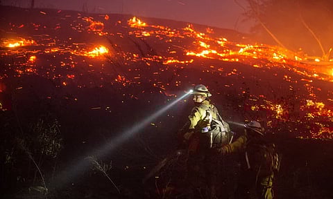 സൺസെറ്റ് കാട്ടുതീ; ആശങ്കയായി മോഷണവും | Sunset Forest Fire
