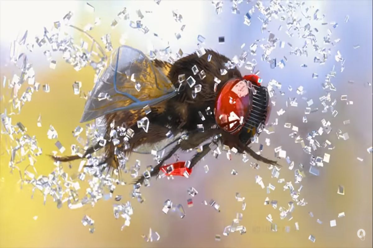 Screenshot from 3.0 vs Eega