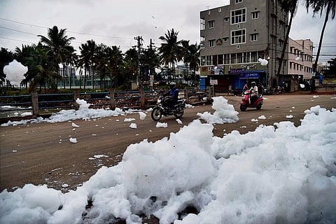 When cities were Nature’s haven: a tale from Bengaluru