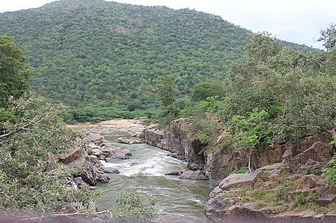 Centre sides with K'taka on Cauvery, cites farm suicides to refuse water to TN