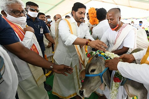 CM YS Jagan takes part in cow puja event at Narasaraopeta of Guntur