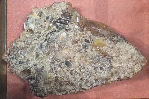 15 kg Ambergris seized in TN