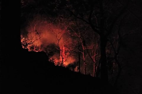 ‘The forest cried for help and we went’: How a FB post got Kerala to fight a wildfire