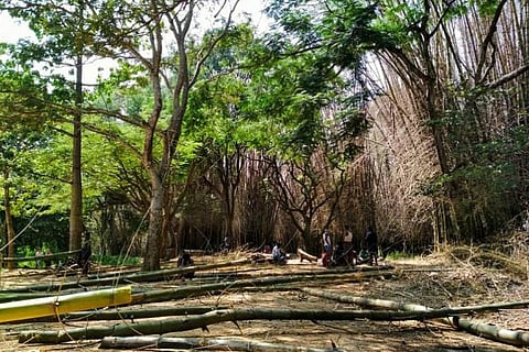 Authorities plan paid parking inside Cubbon Park, but activists say no to vehicles