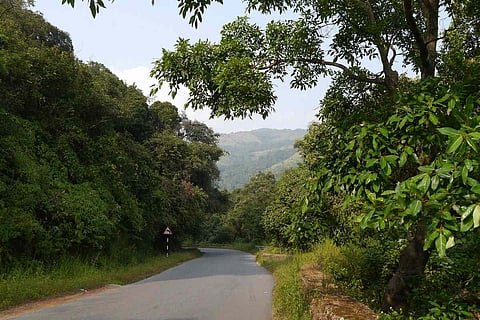 A file photo of Charmadi Ghat