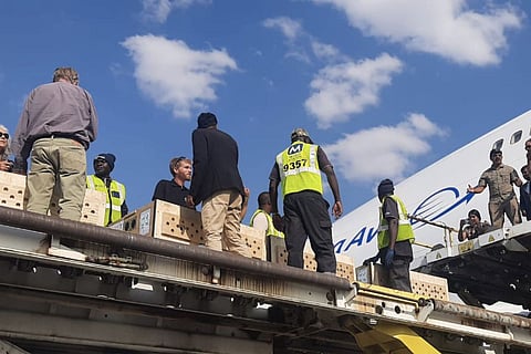 Boxes carrying cheetahs being loaded onto a plane headed for India