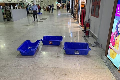 ‘Roof turned into showers’: DMK’s Kanimozhi slams Chennai airport for leaky roof