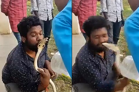 Man kisses a snake and gets bitten