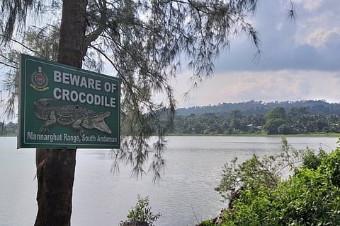 Crocodile-human conflict in Andamans: Why the govt's solution is impractical