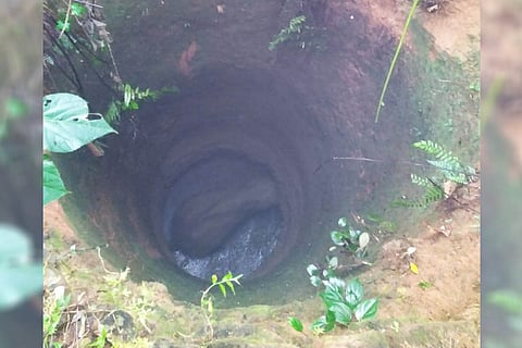 Elephant trapped inside well 