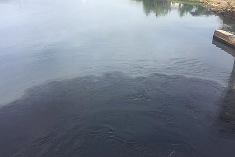 Why activists think asking pollution body to inspect Periyar river is inadequate