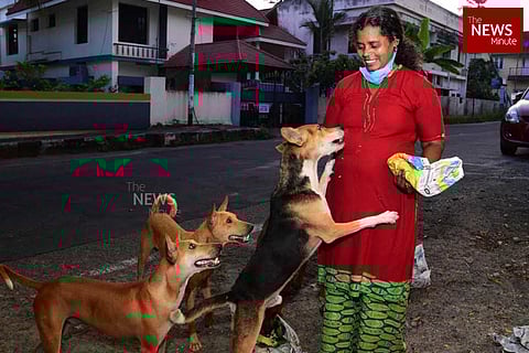 Despite measly wage and lockdown, this Kerala woman continues to feed stray dogs