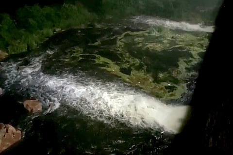 Water flow after gates opened at Himayatsagar