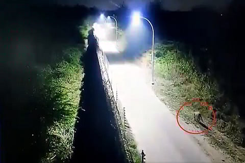 Leopard near Hyderabad airport