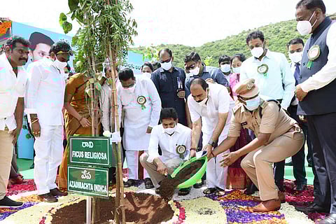 CM Jagan Mohan Reddy planting a tree