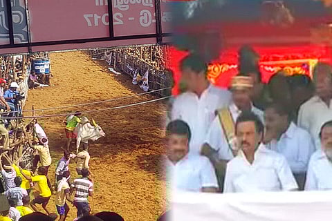 Alanganallur comes alive for jallikattu, as politicians, celebs turn up to watch