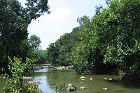 Kuruva Island
