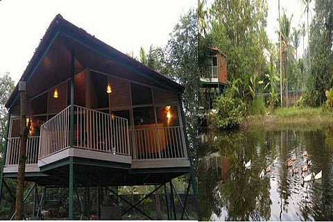 Lessons from 2018 deluge: Flood-resistant housing gets a boost in Kerala