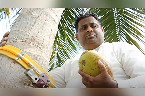 Sri Lankan Minister Arundika Fernando climbs coconut tree