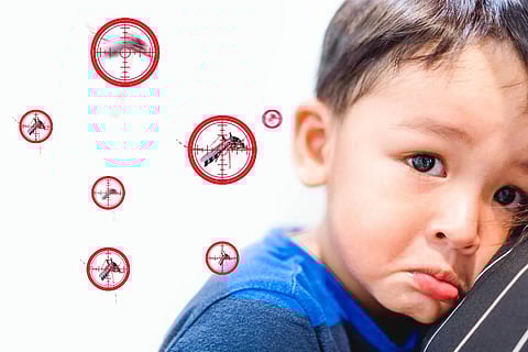 All you need to know about dengue: Symptoms and treatment