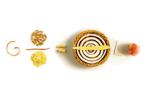 Remembering Pi: Google Doodle honours mathematical constant with apple pies