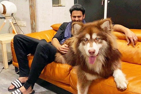 Prabhas sitting next to Charmy's dog