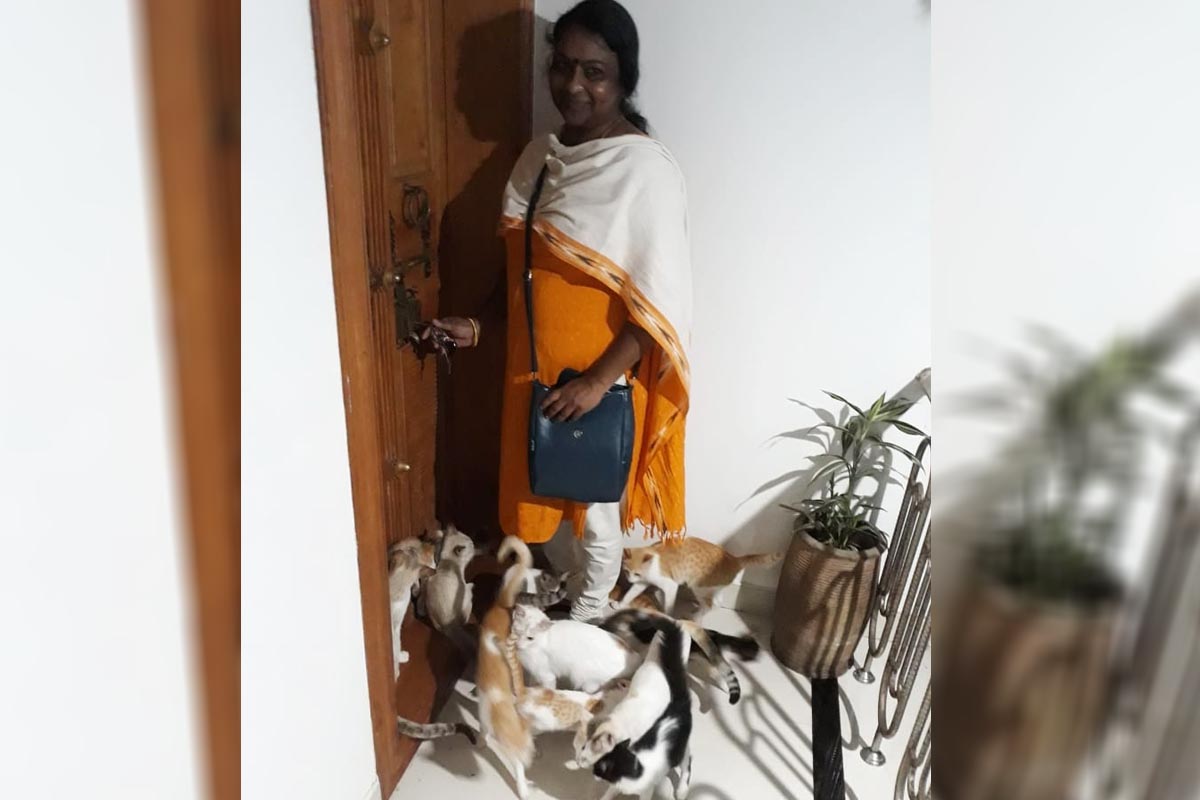 Pushpa and her cats