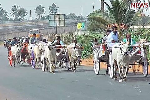 Now, rekla enthusiasts defy SC order: 50 vehicles race to the finish in Coimbatore