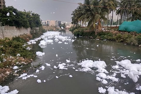 Notices to 497 Bengaluru properties for dumping sewage into storm drains
