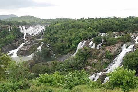 Shivanasamudra Falls