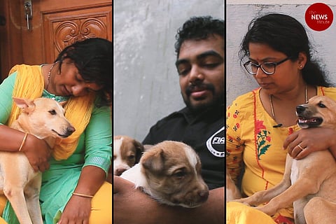 Can citizen caregivers be the key to solving stray dog attacks?