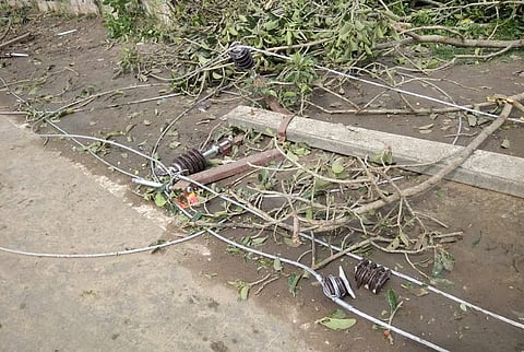 'Over 1 lakh poles may be damaged': TN Electricity Board hit hard by Cyclone Gaja