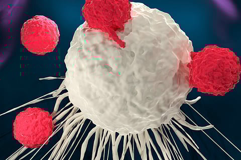 Scientists develop nano 'Trojan horse' to strangle tumours