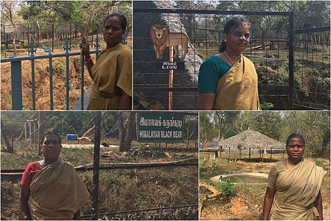 Growling with tigers, laughing with hyenas: Meet the women caretakers of TN zoo