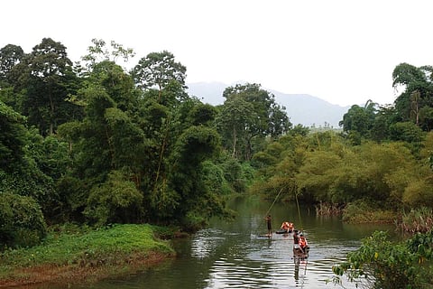 Bamboo rafting in Wayanad