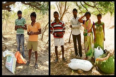 After four animal deaths on campus in 10 days, UoH students nab 15 trespassers