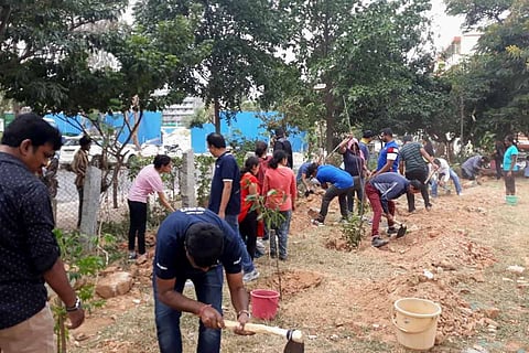 Residents hard at work at Spark Tree Park