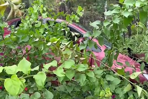 The car that hit 2 people