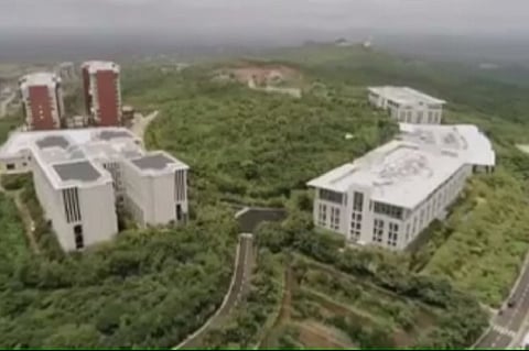 Infosys turns barren campus land into forest in Mangaluru