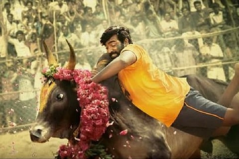 From 'Mersal' to 'Karuppan', jallikattu is making a big comeback to Tamil cinema