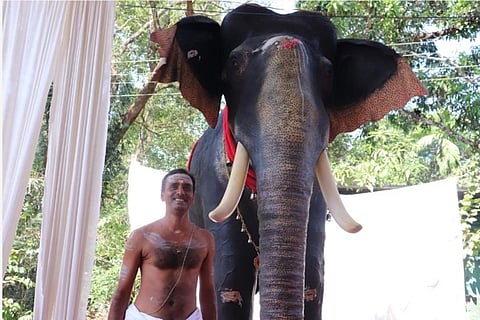 Kerala temple introduces mechanical elephant for rituals