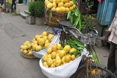 Mangoes being sold on a bicycle