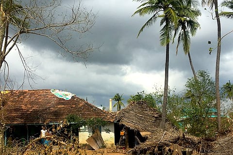 Ground report: Anger, apathy in cyclone-ravaged Thanjavur