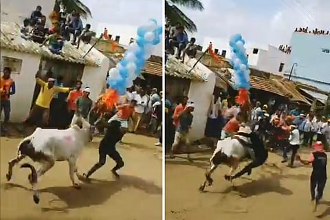 Man collides with ox at gadag