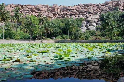 Pampa Sarovara aka the Lotus pond
