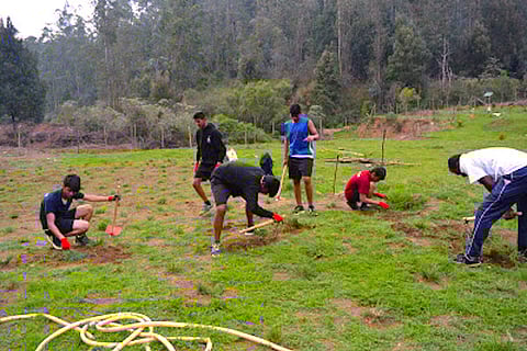 Students of this school are trying to regenerate sholas and grasslands of Nilgiris. Here's why