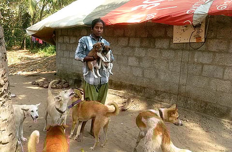 Meet the Kerala couple who opened up their two-room hut to 14 stray dogs