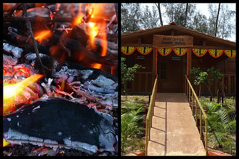 Miscreants set Mangaluru tree park on fire, no CCTV to trace arsonists 