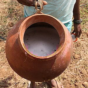 Kerala eyes 'model toddy shops' to fill liquor's gap